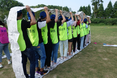 ����÷��MGM(�й���)��������