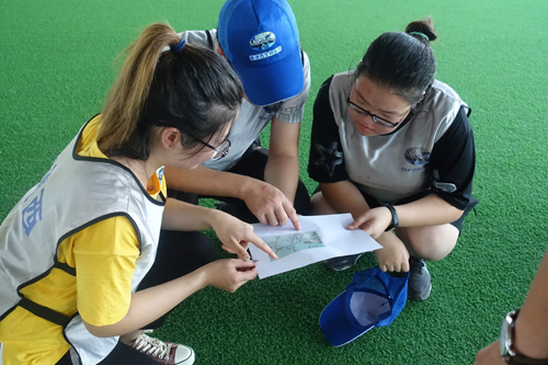 ����÷��MGM(�й���)��������