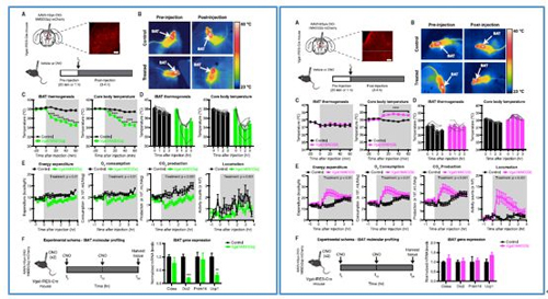 ����Ԫ�ļ������̭��ɫ֬����������������̭�����˶����������Ӷ����������������������෴��������������Ԫ�������������������������