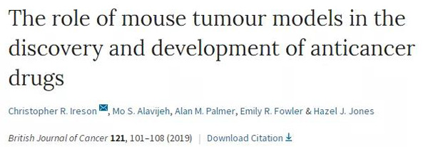 �ٴ�ǰС��ģ������������������