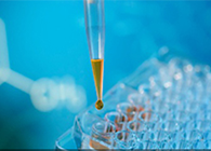 ��������ͬ������·����Щ�ƴ���˾�������