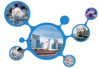 �ƴ����׼�CRO��ҵ����÷��׼ע��