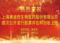 ����÷�ƴ��������ʽ��������