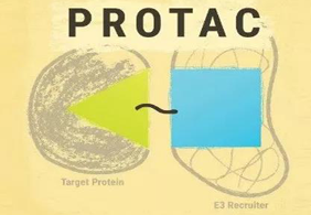 ����ǰ��:PROTAC��¶ìͷ����������SD-36�Կ�����Ч��׿Խ