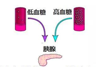 ����Ѫ����̬����������GK����ǰ��