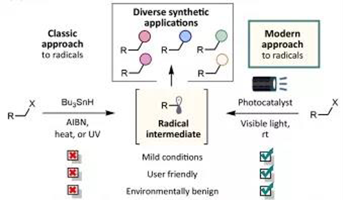 ��������ԭ��Ӧ��Ű�Ҫ�����Խ����ɫ������������Խ���徲