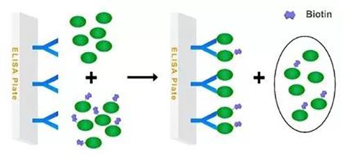 ͼ1 ����ҩ������ҩ�ﾺ����Assayģʽ