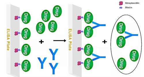 ͼ3 ����ҩ�����ӹ��໯ҩ�ﾺ����Assayģʽ