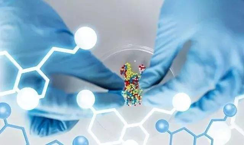 2019������������÷һվʽ����10��IND�걨��Ŀ����ٴ�����