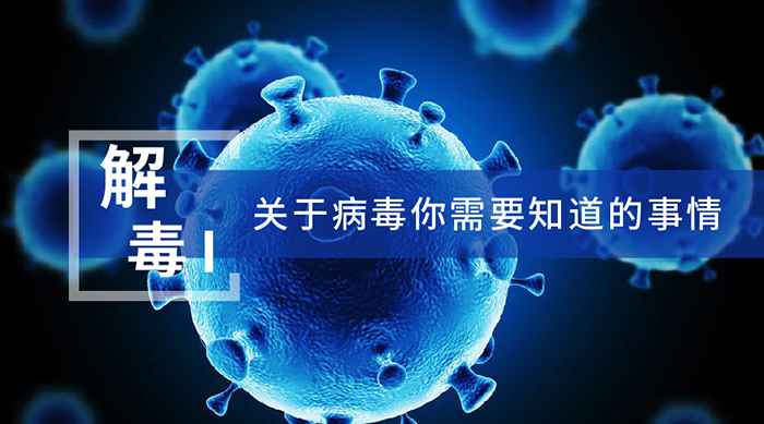 ���ڲ�������Ҫ֪�������� 