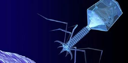 �ɾ����Ʒ������������������Լ�����ϸ����������Ĳ���תȾ���ӵȶ����ֳ�����������������˳��һ��