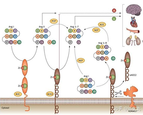 ҩ��Կ�����