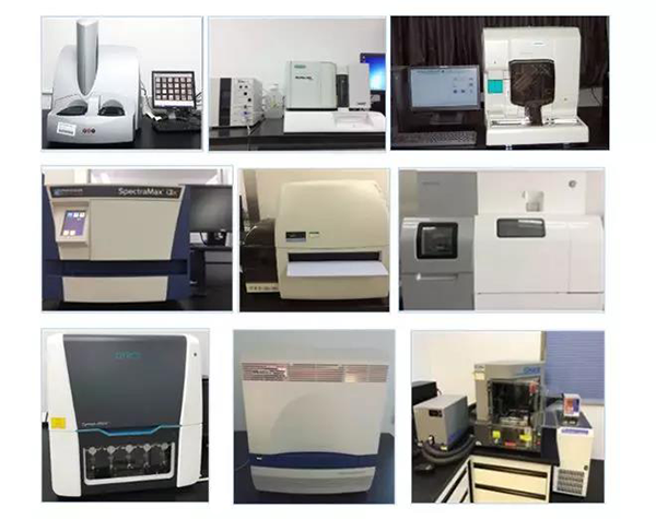 ����÷���＼��ҩ����������ӵ��SpectraMaxM4/M5/i3x, MSD, Luminex, Biacore 8K, Envision, Gyrolab����������ABI7500 qPCR��ȫ��λ�๦Ч�ļ���ƽ̨����������ʹ��LIMSϵͳʵ����ȫ��ʵ������Ϣ�����������������ṩ��ȫ�к�FDA/CFDA/OECD GLP�淶Ҫ������＼��ҩ������Ч������������