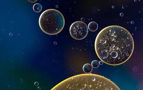 ÈÜÁö²¡¶¾°´Éú³¤Àú³Ì´óÖ¿ɷÖΪ4 ÖÖÀàÐÍ