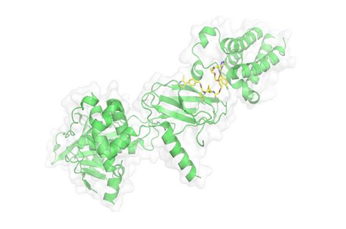 PROTAC����������������Ȫ