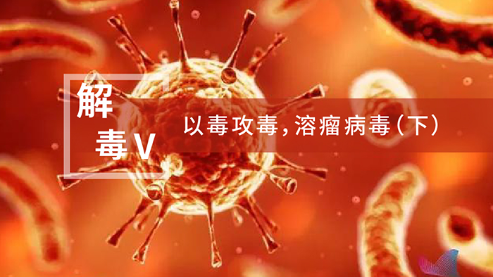 ���⡰����V���Զ����������������������������£�