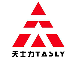 ��ʿ����˾�� T601��ţ������)