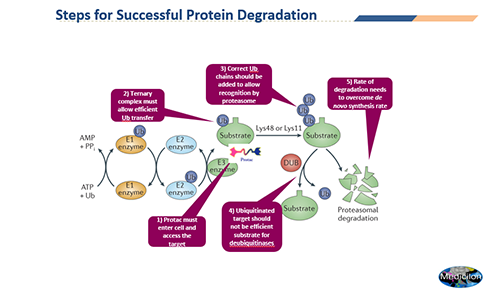 PROTAC�о��е�Ҫ��