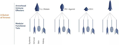 �����Ʒ�֮��