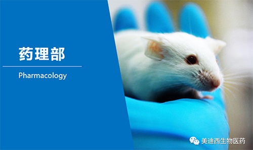 ����÷ҩ���������˷ΰ����᳦����θ����12��PDXģ�ӡ���������