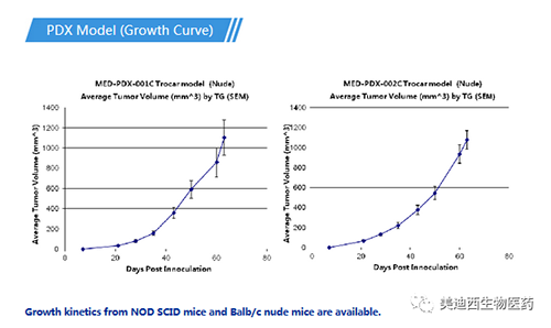 ����÷PDXҩЧģ��