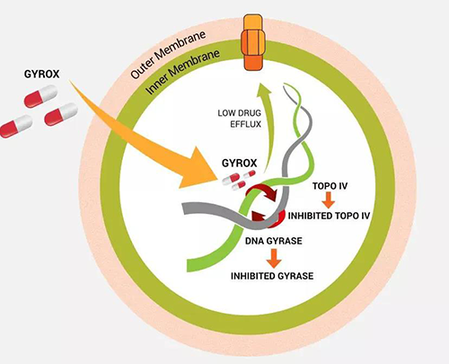 Bugworks����750����Ԫ��Ӧ��������ϸ������ϸ��������ȫ����ս