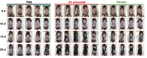 ����������������ѧ���о�ְԱ���о�