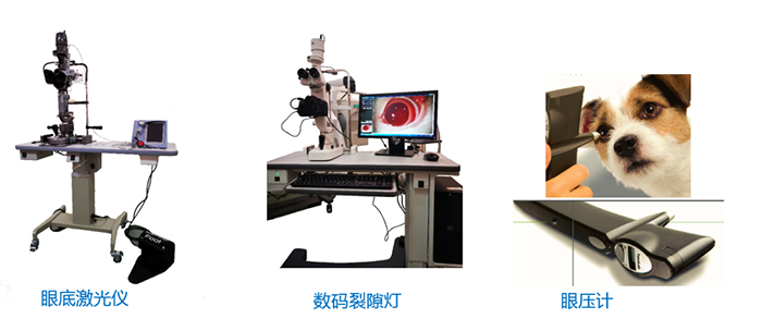 ÑÛµ×¼¤¹âÒÇ¡¢ÊýÂëÁÑ϶µÆ¡¢ÑÛѹ¼Æ