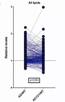 ��֬�ʴ�лˮƽ 