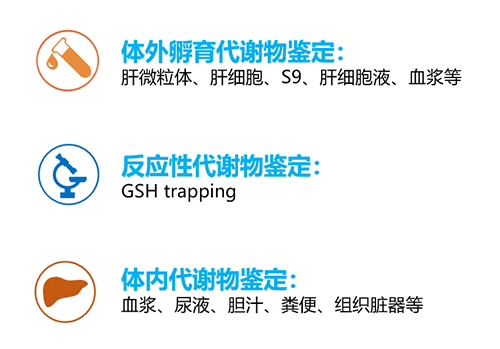 ֧����ҩ�������걨��MetID�о�