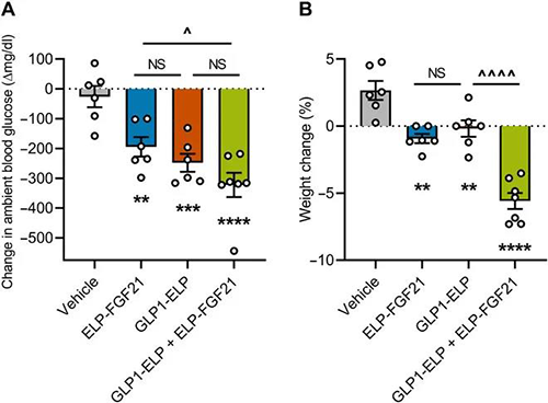 GLP-1��FGF21���������ǿ�˵�ҩ���Ƶ�Ѫ�ǽ��ͺ����������������� ����÷