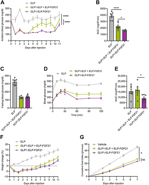 GLP1-ELP-FGF21˫��������ʽ������������GLP-1 / FGF21�������������� ����÷