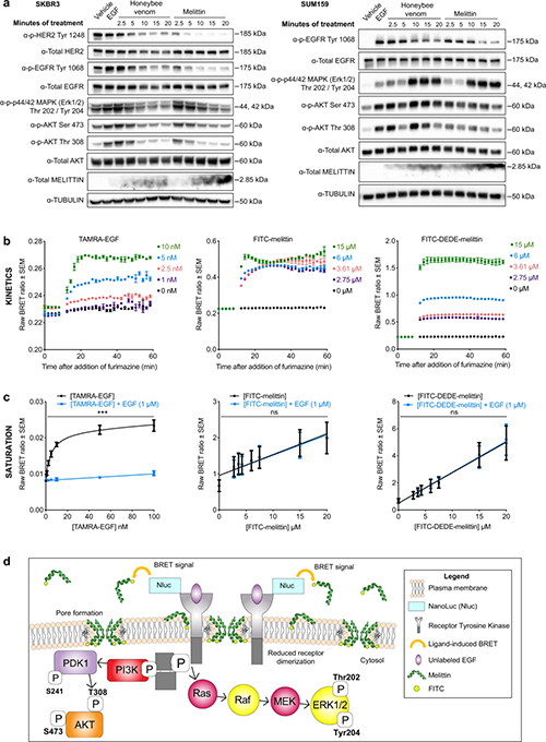 �۷䶾Һ�ͷ䶾������RTK���ữ