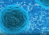 �������������ٰ����������۷䶾Һ����Ҫ��������������