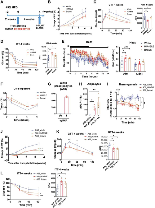 HUMBLEϸ������С�������Ǵ�л������