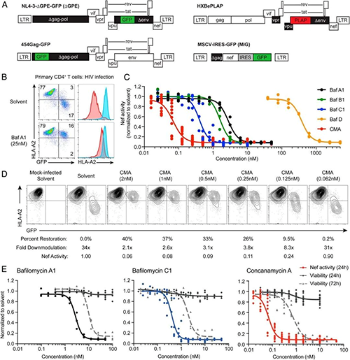 ��Ȼ��Ʒ���Ƽ���ɸѡ