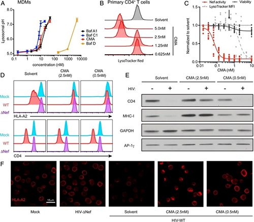 Plecomacrolides���в���Nef�������ú���ø���к�����