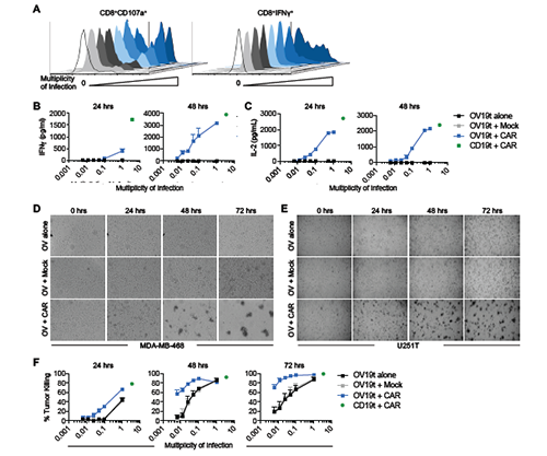 ÃÀ¸ß÷¡¤MGM(ÖйúÓÎ)¹ÙÍøÕýÍø