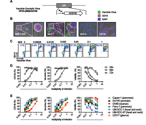 ÃÀ¸ß÷¡¤MGM(ÖйúÓÎ)¹ÙÍøÕýÍø