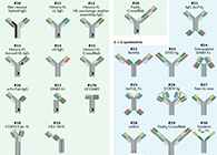 ���ƻ��ס����ۡ�����ʵ��������������λһ���˵˫������������