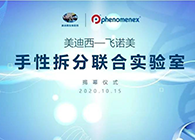 ���������š�����÷-��ŵ�����Բ������ʵ���ҽ�Ļ��ʽ