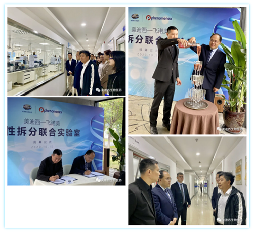 ���������š�����÷-��ŵ�� ���Բ������ʵ���ҽ�Ļ��ʽ