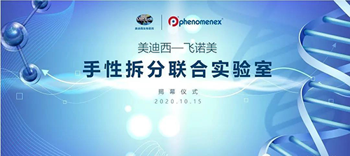 ���������š�����÷-��ŵ�� ���Բ������ʵ���ҽ�Ļ��ʽ