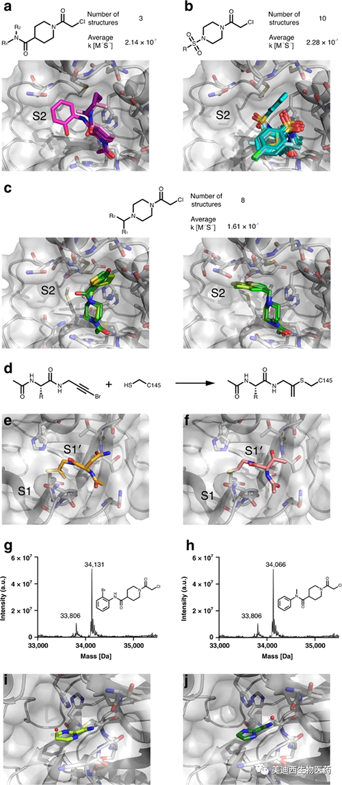 ����Ƭ��ê����Cys145����ȡ������M pro��ϵ���Ĳ������