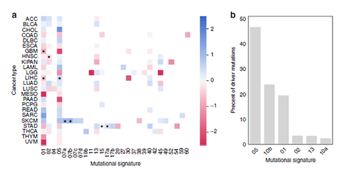 ͻ���źŲ���ڹ�Ͳ��ѡ��