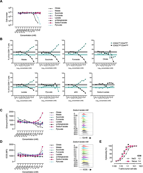 ����̼��л���ı�CD8 + Tϸ��ЧӦ�ӵ����ܣ�ȪԴ��e Life��