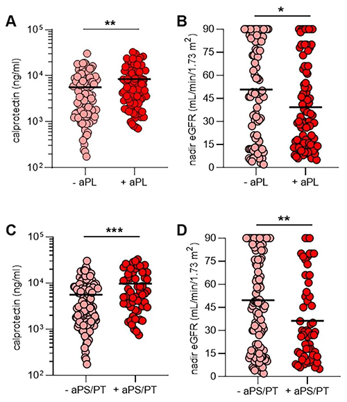 aPL���塢NET�ͷź�����Ч