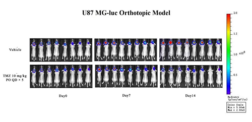 �Բ�ԭλ��ֲ