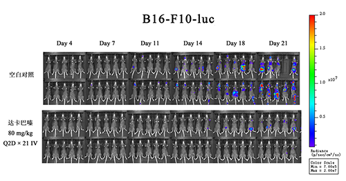 ��ת��ģ��