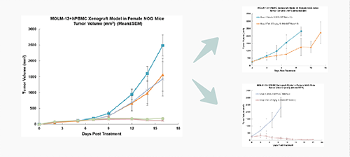 PBMC��Դ��С���ܰ�����ֲģ�ӵ�����������ҩЧ����